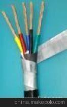 高温氟绝缘铠装电缆FF22 ZR-FV22 特性、应用与选型指南